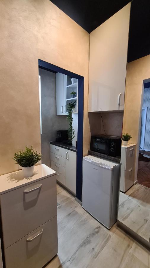 Calea Victoriei Studio By Magic Apartments Βουκουρέστι Εξωτερικό φωτογραφία